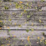resized_17_fallback