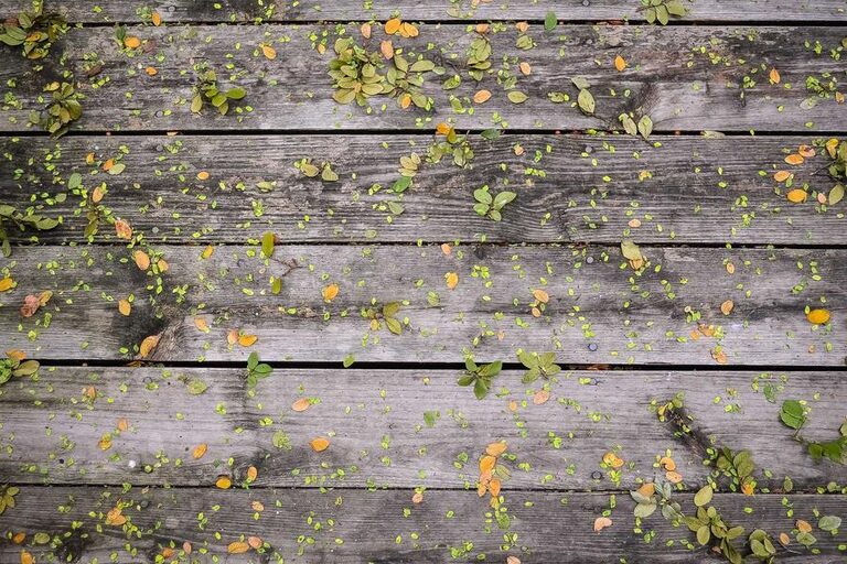 resized_17_fallback