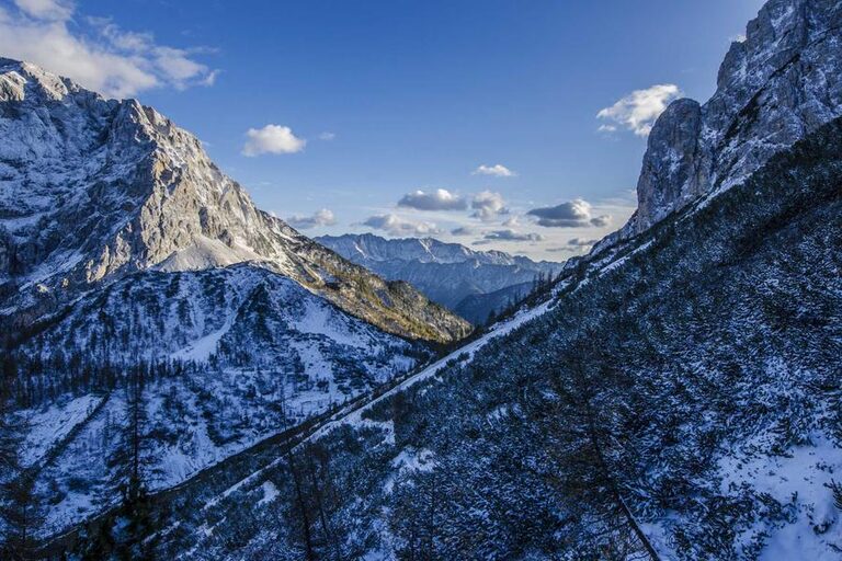 resized_33_fallback