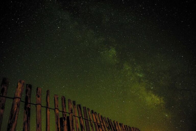 resized_41_fallback